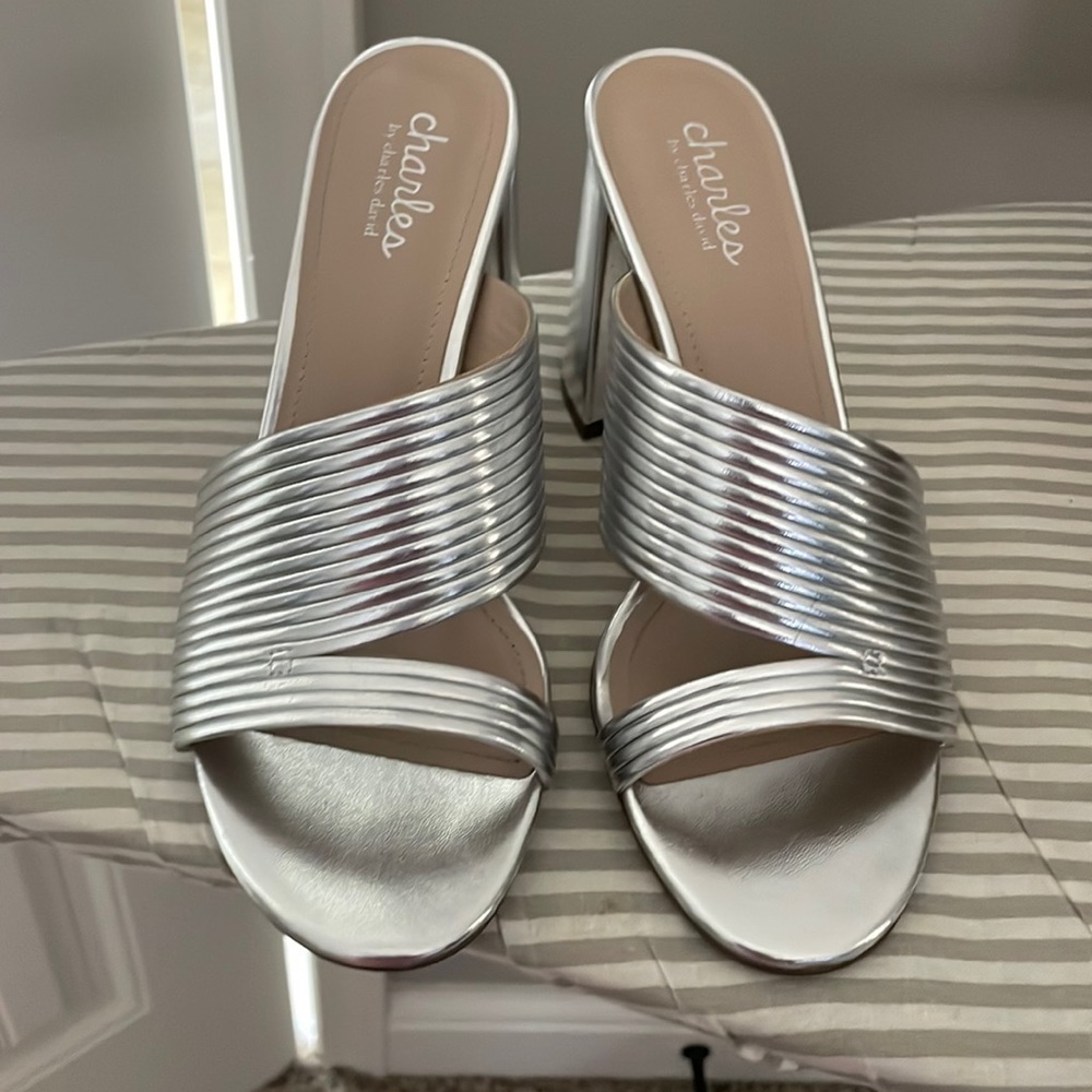 Charles David Block Heel Mules - image 1